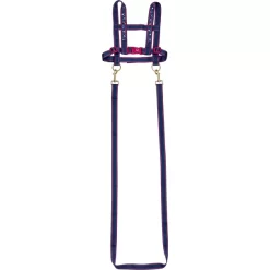 SPIEGELBURG COPPENRATH Pferdeleine Pferdefreunde